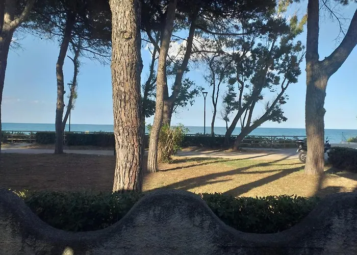 Quadruple 5 Minutes From The Sea